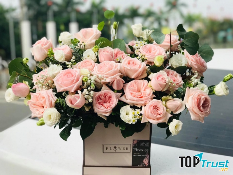 Điện hoa Tuyên Quang - Flower 88