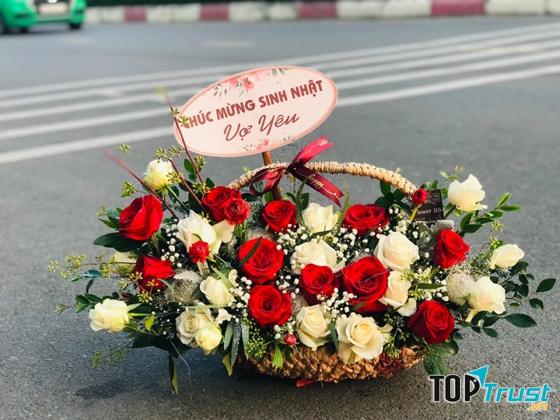 Điện hoa Tuyên Quang - Flower 88