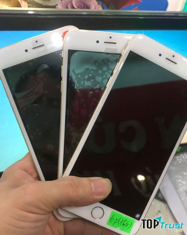 Điện Thoai Tuân Cúc