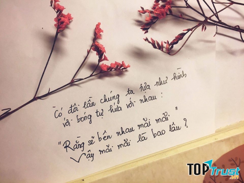 Diệp Lạc Vô Tâm