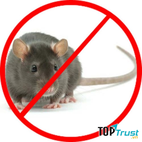 Diệt chuột Quốc Phong