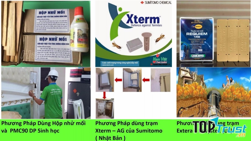 Các Phương Pháp Diệt Mối Tận Gốc của GFC