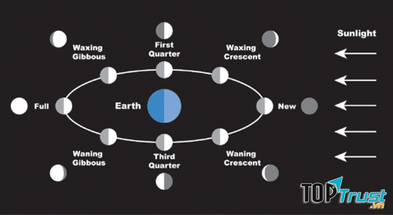 Chu kỳ mặt trăng