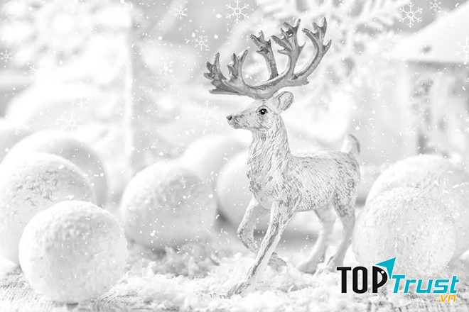 Màu sắc đặc trưng và truyền thống của Noel không phải màu trắng