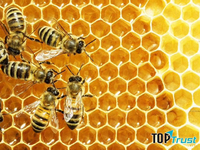 Mật ong giúp điều hòa đường huyết