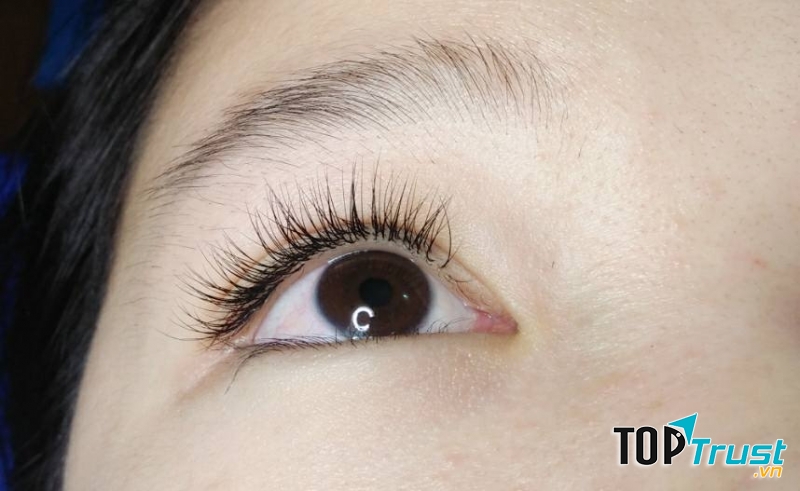 Diệu Hương Nối Mi