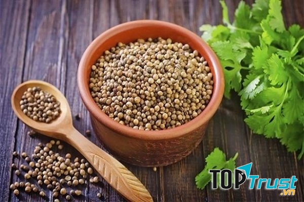 Điều kinh từ rau mùi