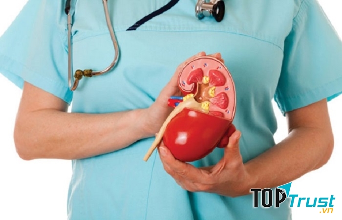 Nước dừa hỗ trợ điều trị bệnh sỏi thận