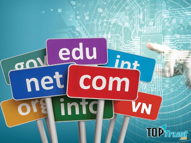 DIGISTAR cũng là nhà cung cấp đăng ký tên miền Việt Nam ủy quyền của VNNIC – Trung Tâm Internet Việt Nam thuộc Bộ Thông Tin Truyền Thông kể từ năm 2009.