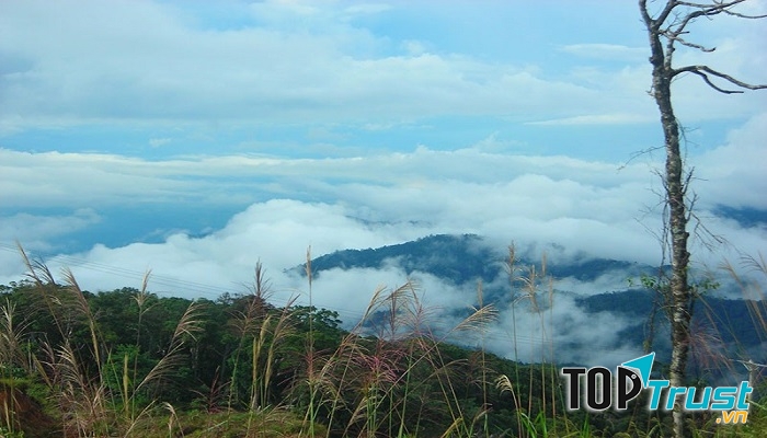 Đỉnh Hòn Bà