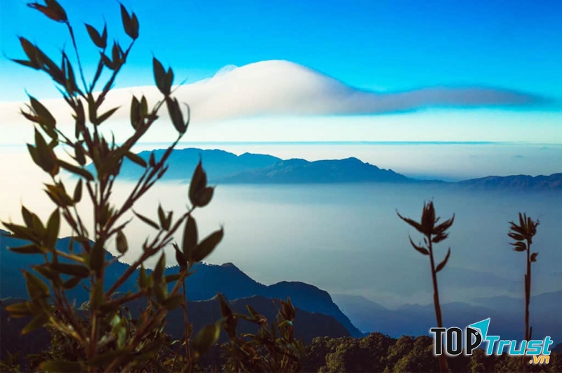 Pu Ta Leng đỉnh núi của những tín đồ ưa dịch chuyển