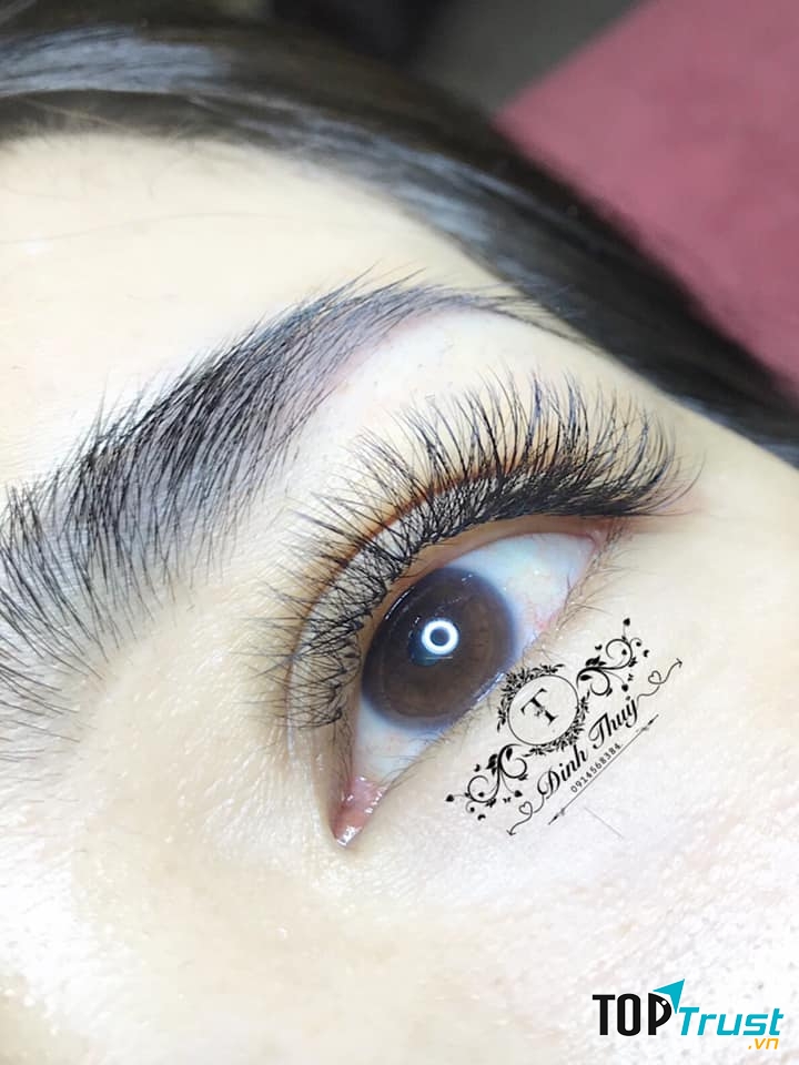 Đinh Thủy Nối Mi