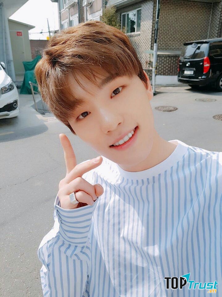 Dino (Seventeen)