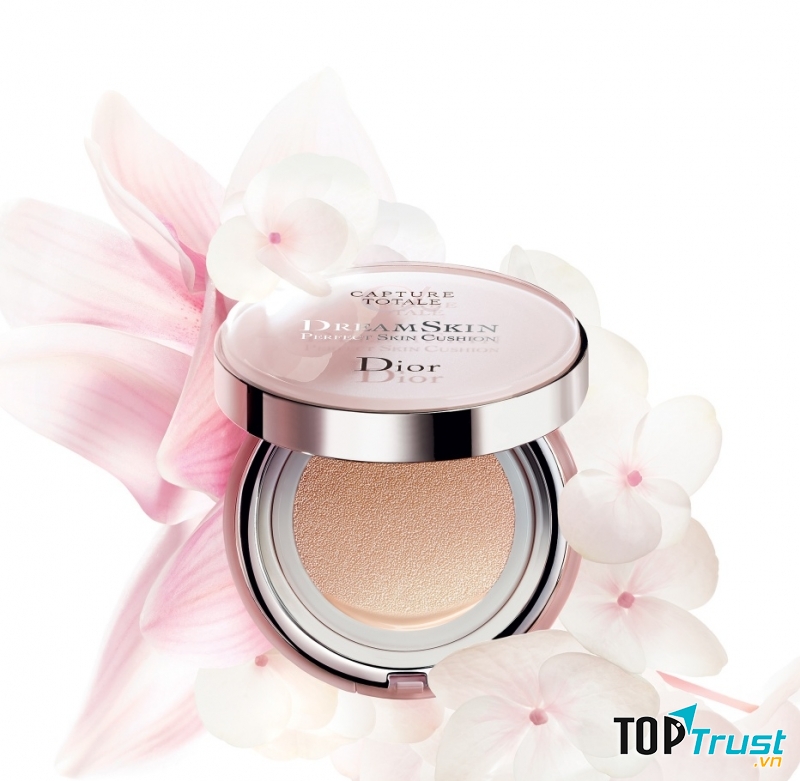Dior Dream skin cushion