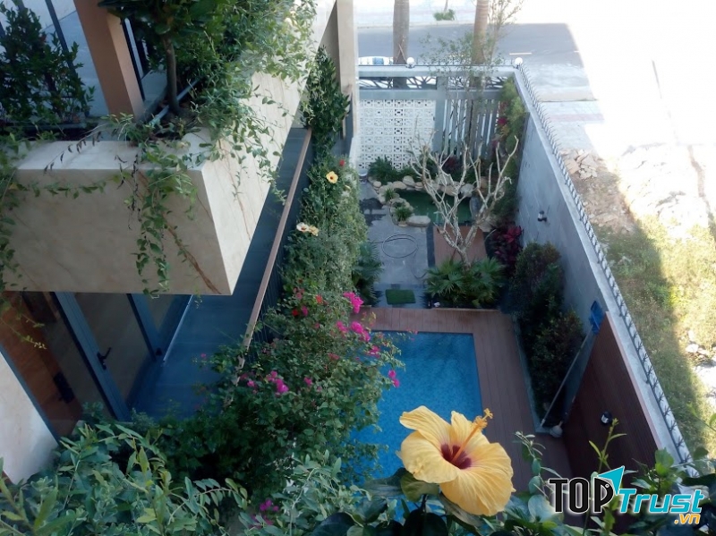 DNGREEN- công ty cây xanh và cho thuê cây xanh