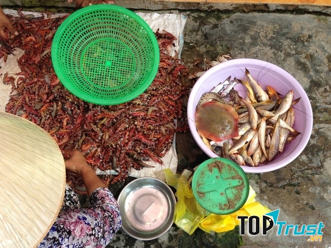 Hải sản tươi sống