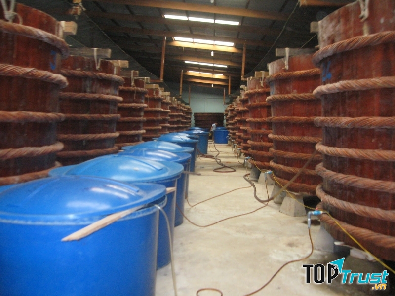 Một cơ sở sản xuất nước mắm Phú Quốc