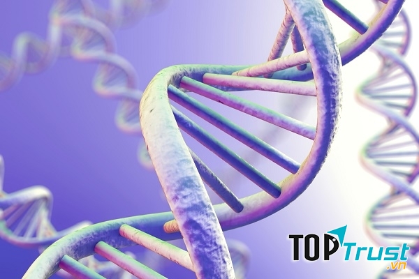 Nếu trong gia đình bạn có người bị quầng thâm mắt thì 90% nguy cơ bạn phải đối mặt với vấn đề này