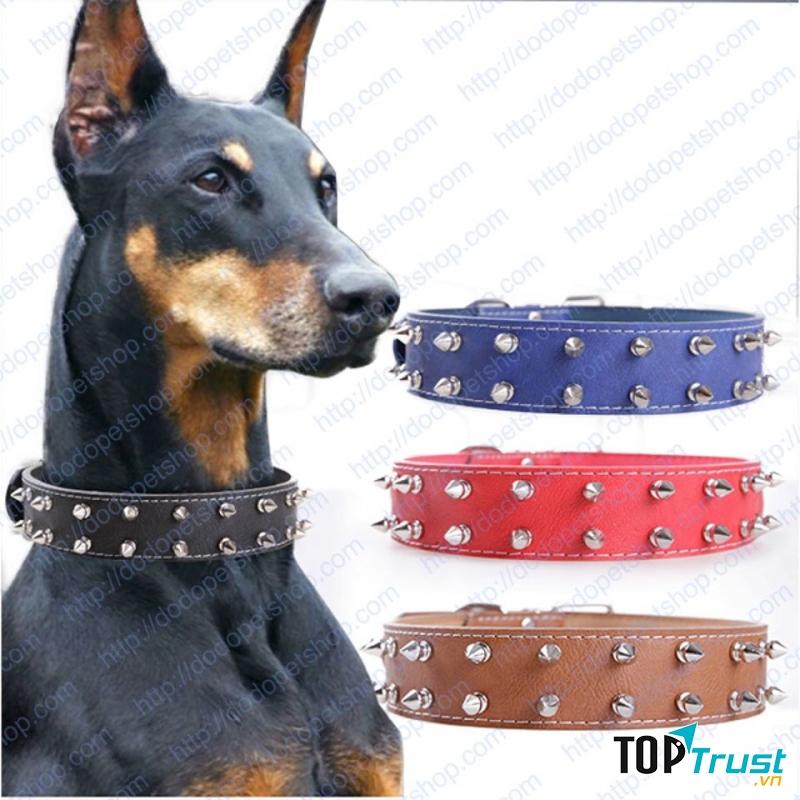 Vòng cổ cá tính cho chó cưng