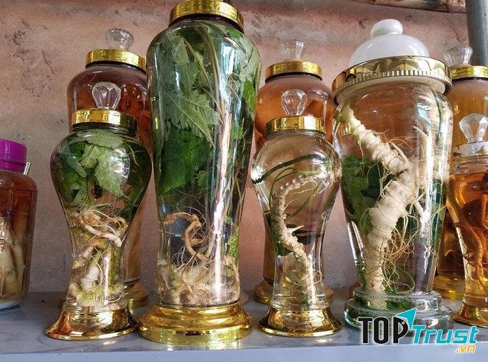Shop luôn cung cấp cho thị trường những nguyên liệu ngâm rượu từ các loại thảo dược quý, đảm bảo về chất lượng cho từng sản phẩm.