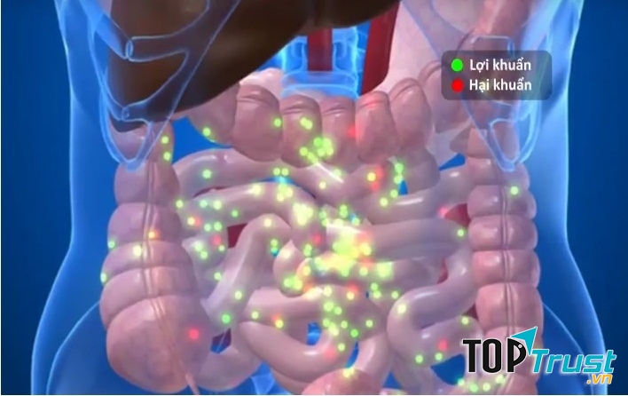 Ảnh minh họa - nguồn internet