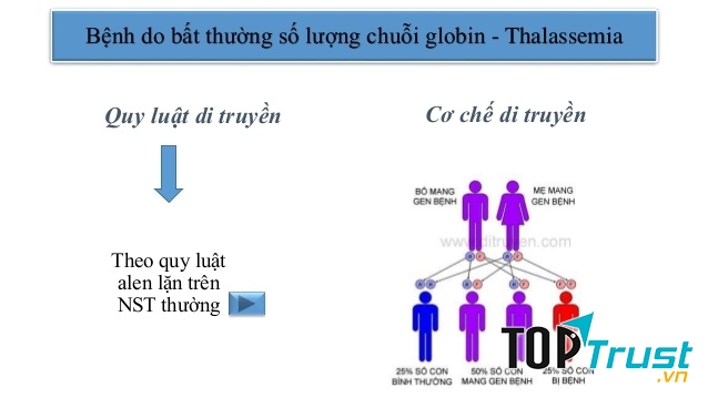 Thoát vị đĩa đệm do yếu tố di truyền