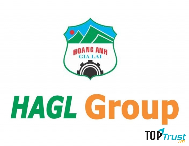 Công ty cổ phần Hoàng Anh Gia Lai được thành lập năm 2006