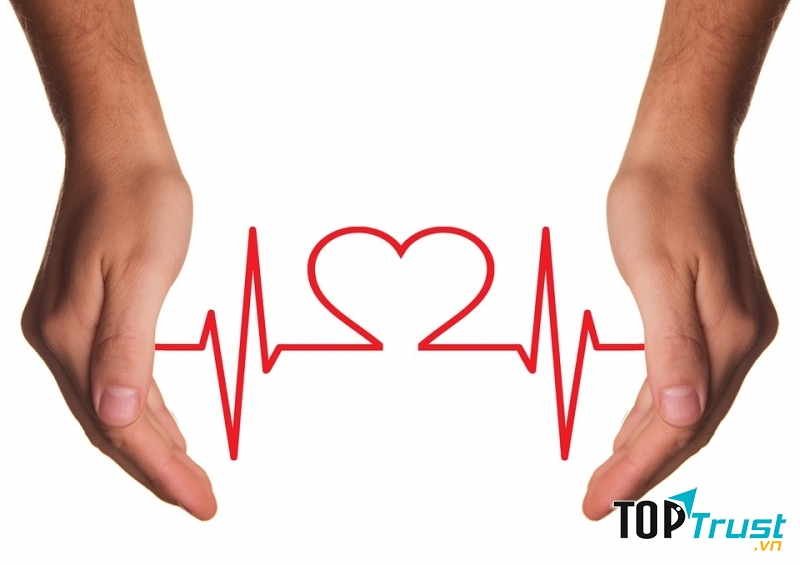 Công ty TNHH Nhân Ái chính thức thành lập và đi vào hoạt động ngày 16 tháng 4 năm 2008