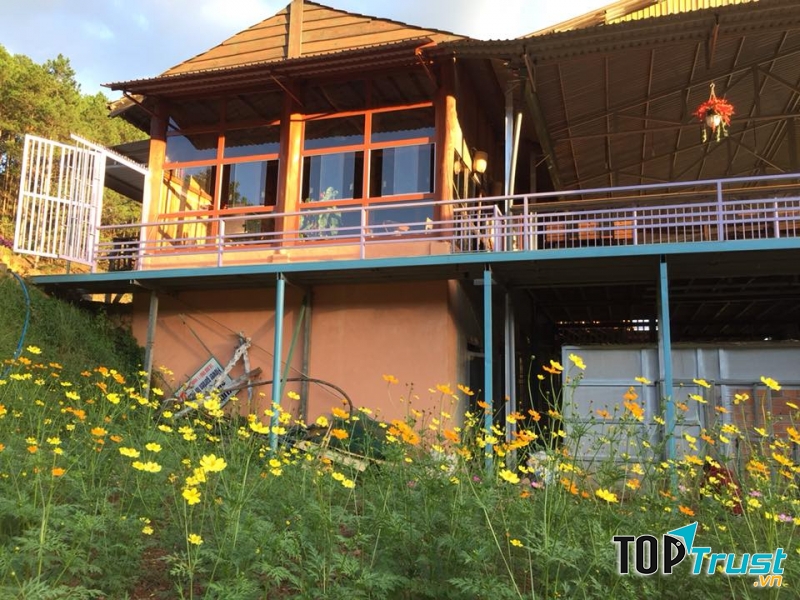 phía dưới là cả một cánh đồng hoa khoe sắc