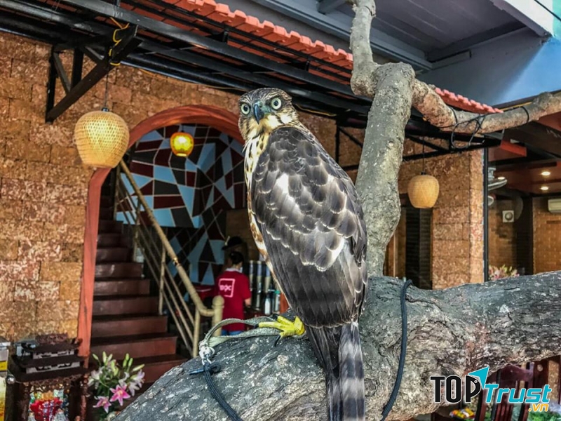 Không gian không kém phần độc đáo, ấn tượng
