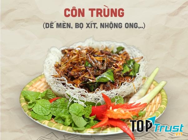 Độc Quán