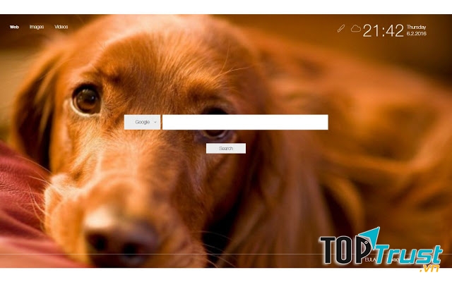 Tiện ích mở rộng Dog Wallpaper New Tab