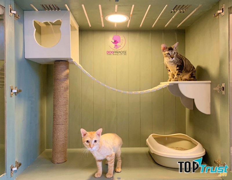 Thiên đường của tớ