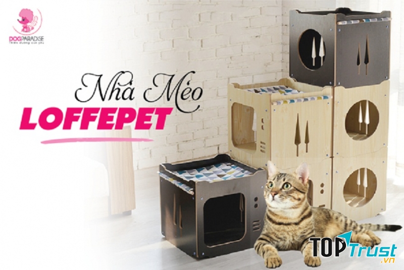 Combo 6 Nhà Gỗ Cho Mèo Loffepe