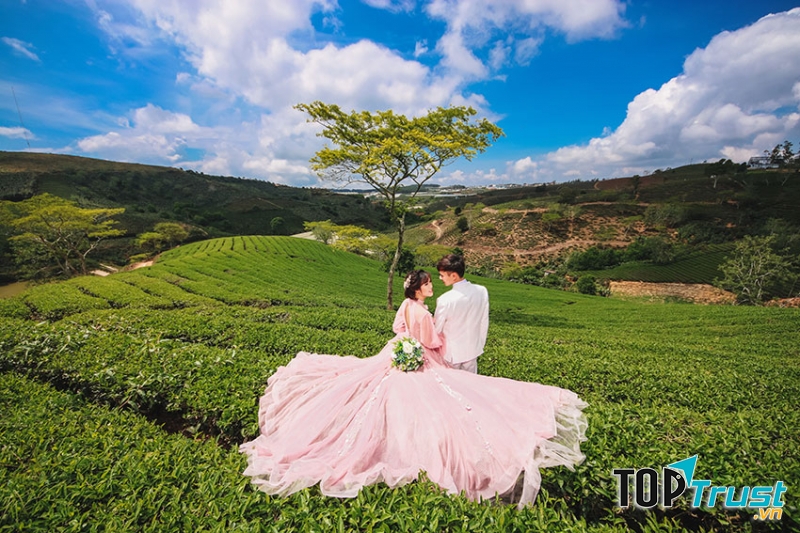 Đồi chè Cầu Đất như một “linh hồn” của vùng đất Đà Lạt. Đồi chè Cầu Đất mang vẻ đẹp huyền bí của thiên nhiên