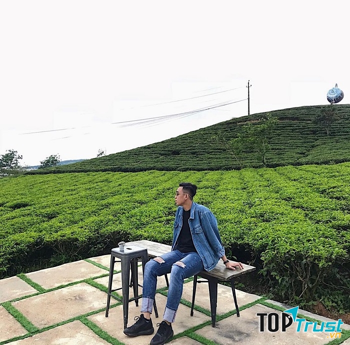 Đồi Chè Cầu Đất