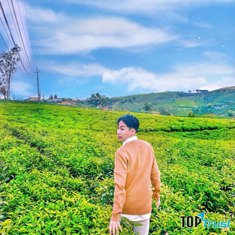 Đồi Chè Cầu Đất