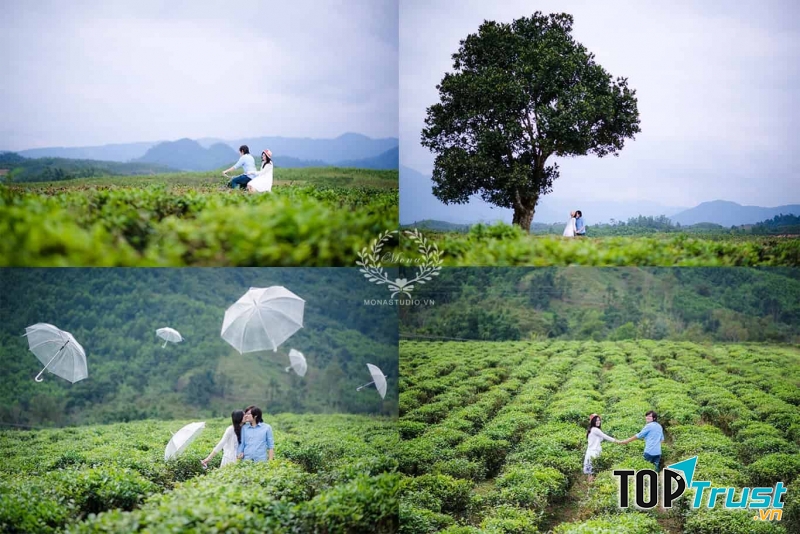 Đồi chè Đông Giang