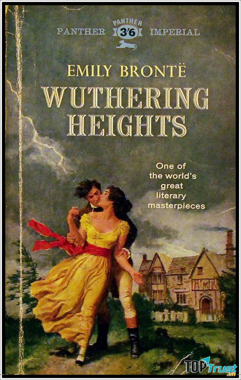 Tiểu thuyết kể về câu chuyện tình yêu không thành giữa Heathcliff và Catherine Earnshaw. Đó là câu chuyện về tình yêu ngang trái và tham vọng chiếm hữu.