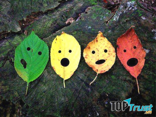 Dám đương đầu với thời tiết để vượt lên chính mình