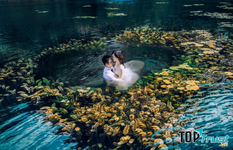 để có được những góc chụp đẹp, những bức ảnh cưới để đời thì việc lựa chọn nhiếp ảnh gia và đội ngũ ekip là một trong những khâu quan trọng