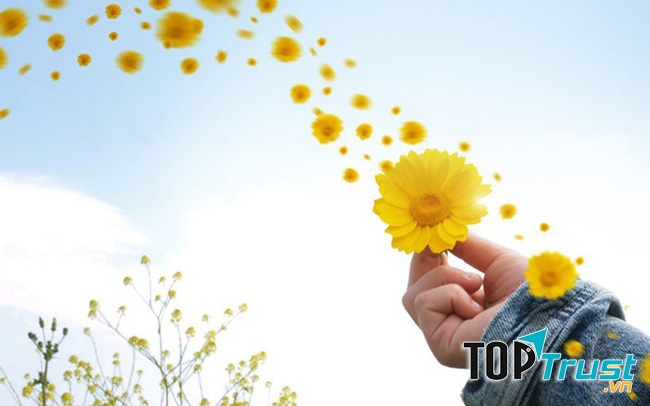 ĐỜI NGƯỜI ĐÂU MẤY LẦN VUI