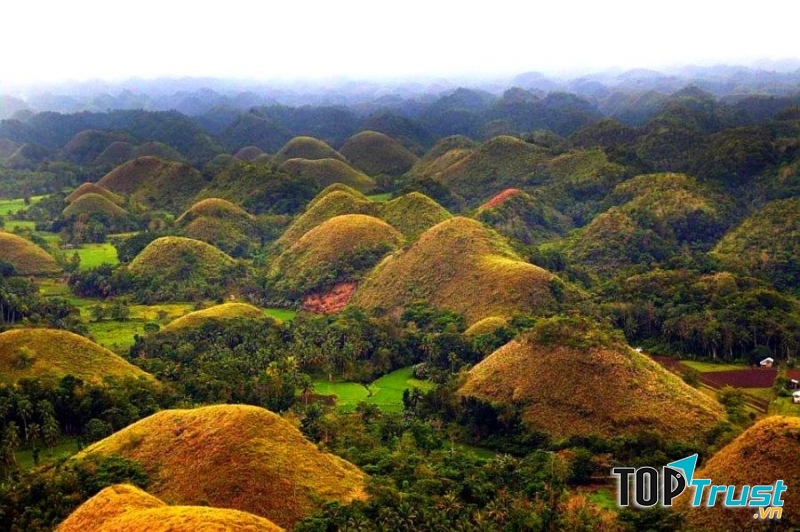 Đồi sô cô la, đảo Bohol, Philippines