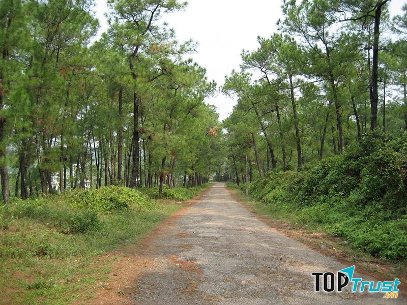 Đường cong ngoằn ngèo lên đồi Thiên An