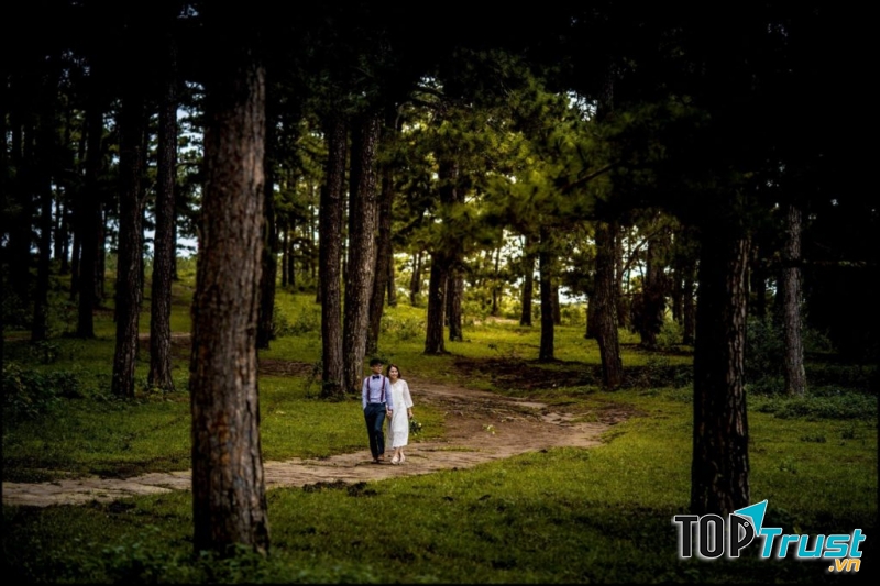 Chụp ảnh cưới Đà Lạt – tại đồi thông