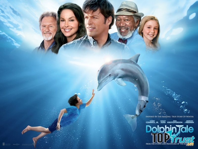 Dolphin Tale