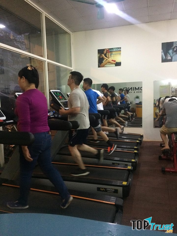 Domino Fitness & Gym