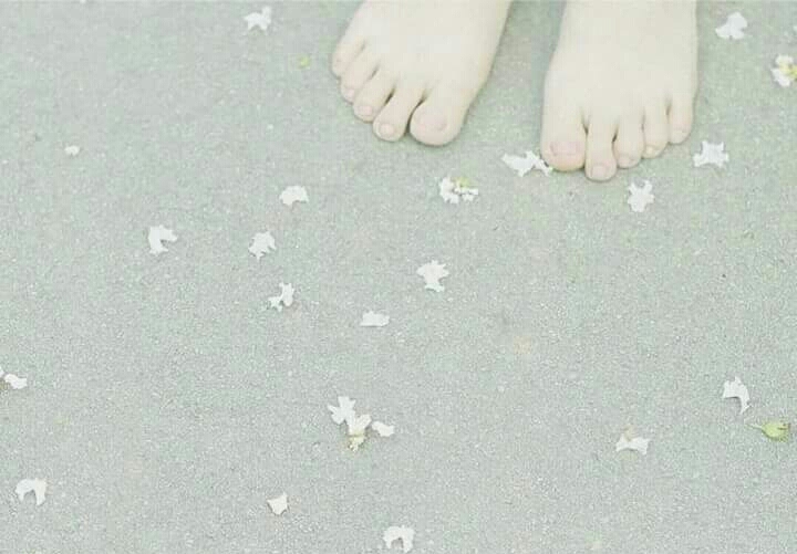 Đông cung - Phỉ Ngã Tư Tồn