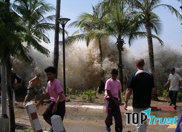 Động đất và sóng thần Ấn Độ Dương 2004