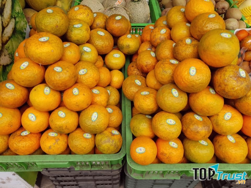 Đông Dương Fruits